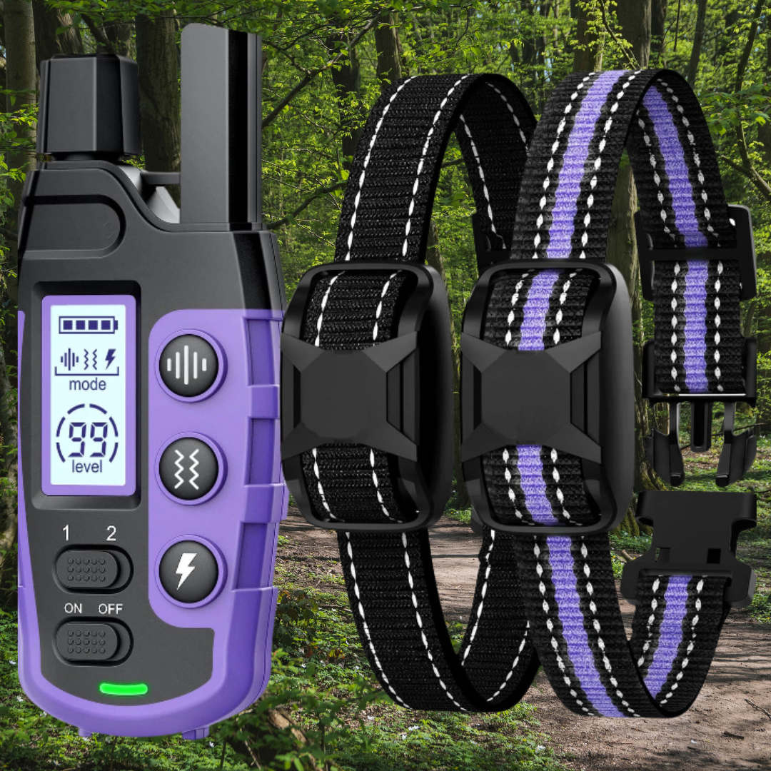 Ultimate Remote Dog Training Collar - Fast, Effective & Pain-Free